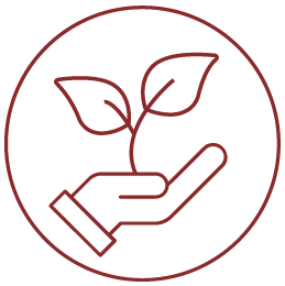 icon of hand holding seedling for educational enrichment