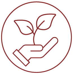 icon of hand holding seedling for campus enrichment