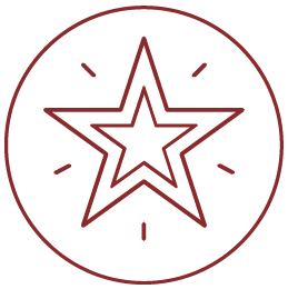 icon of star for legacy of impact
