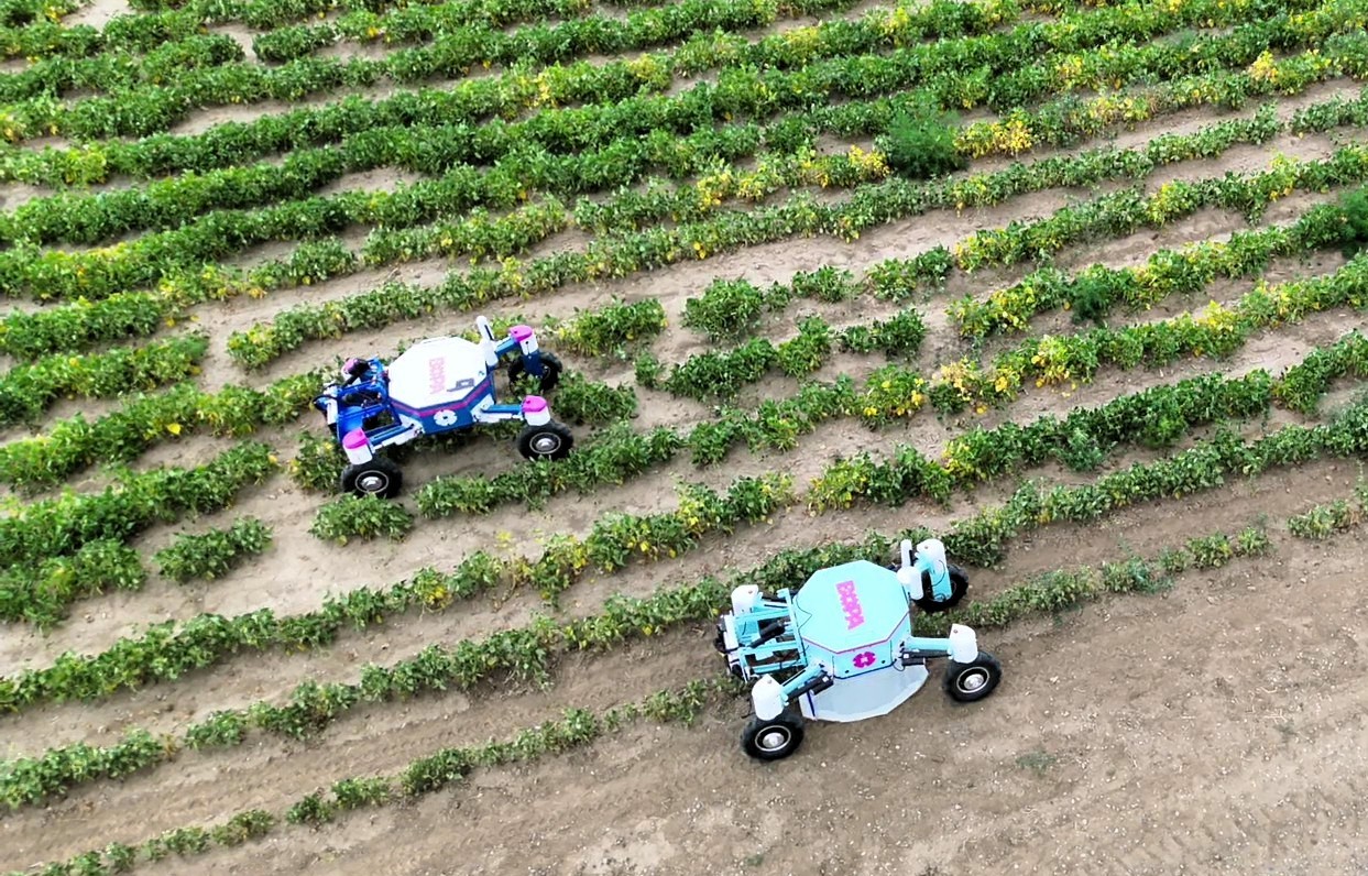 Homegrown in La Junta, the Autonomous Nano Tractor (ANT) weeds and sprays crops to increase efficiency and improve soil health.